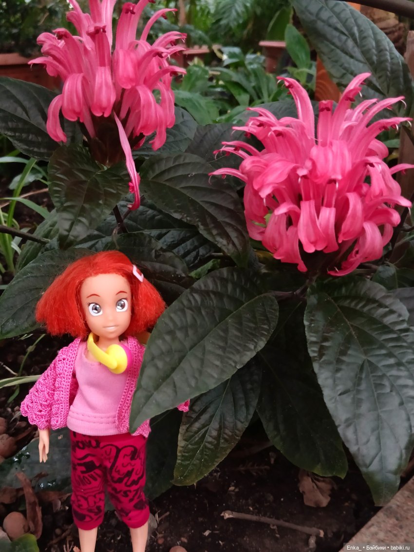 Робин в Ботаническом саду Уфы