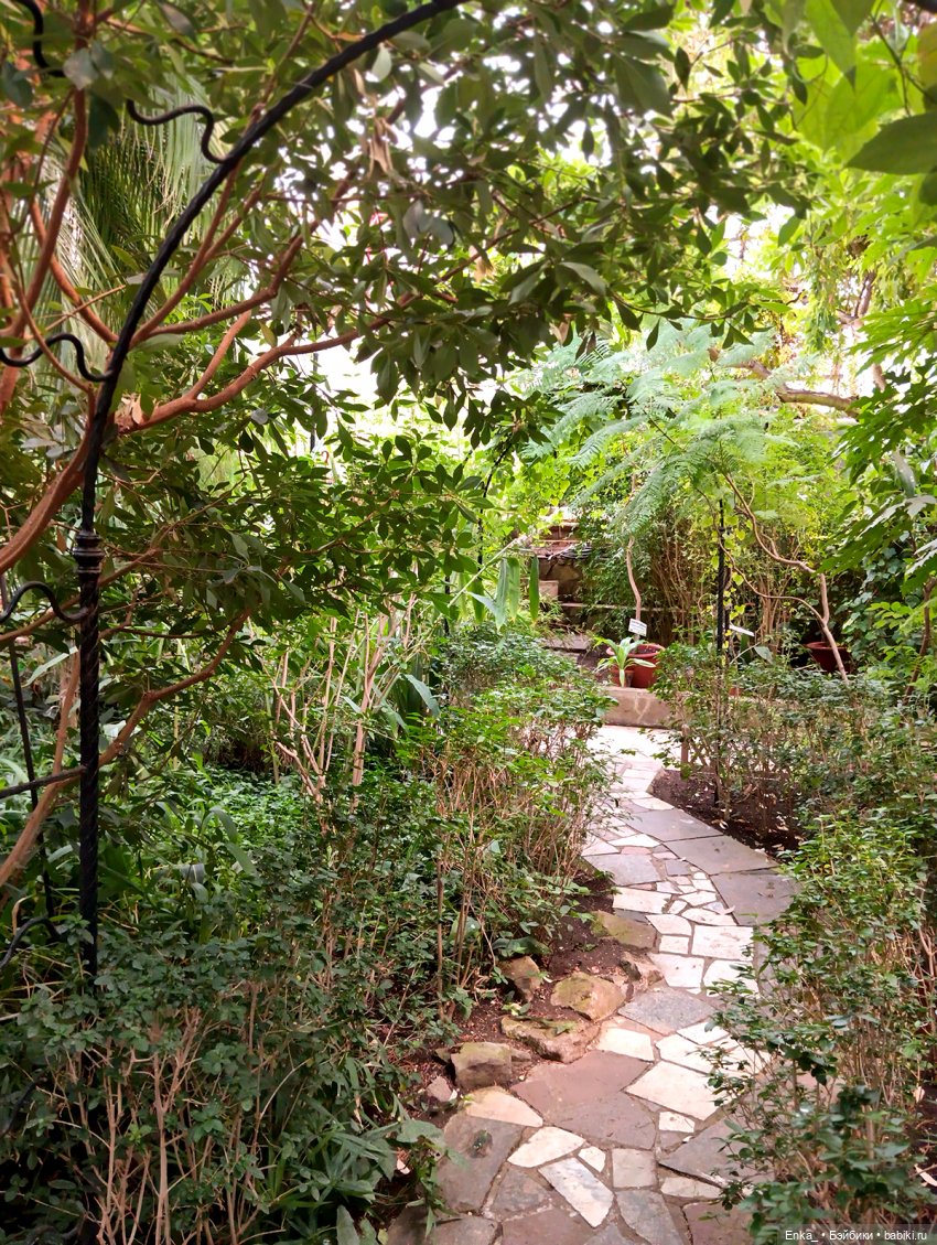 Робин в Ботаническом саду Уфы