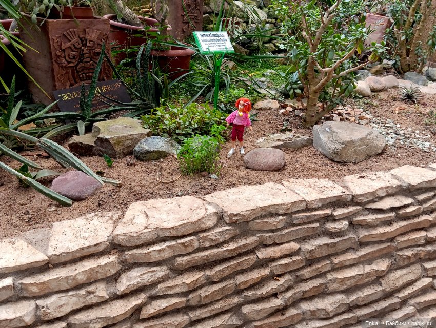 Робин в Ботаническом саду Уфы