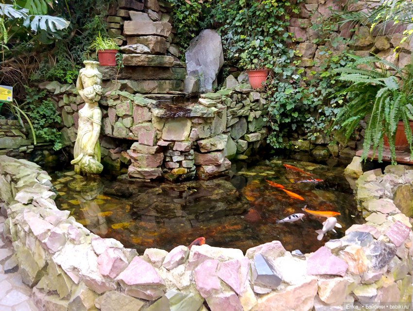 Робин в Ботаническом саду Уфы