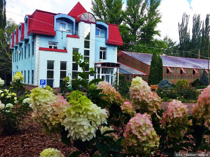 Робин в Ботаническом саду Уфы (фото 8)