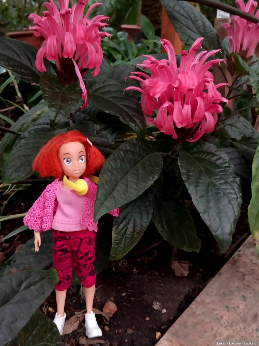 Робин в Ботаническом саду Уфы