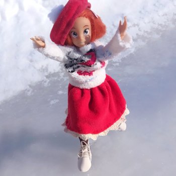 Робин на катке