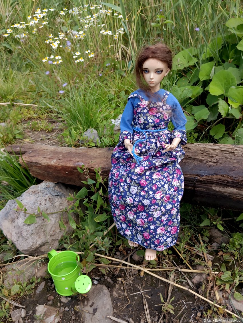 Погадаем на ромашке: любит - не любит