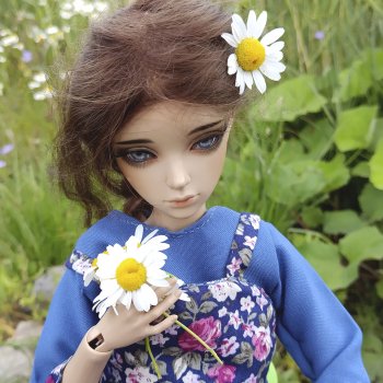 Погадаем на ромашке: любит - не любит