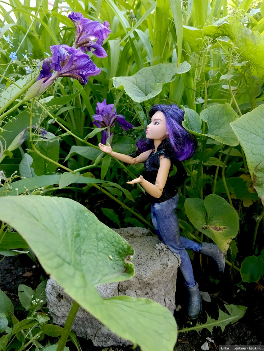 Дейзи Джонсон: по тропе ирисов (фото 6)