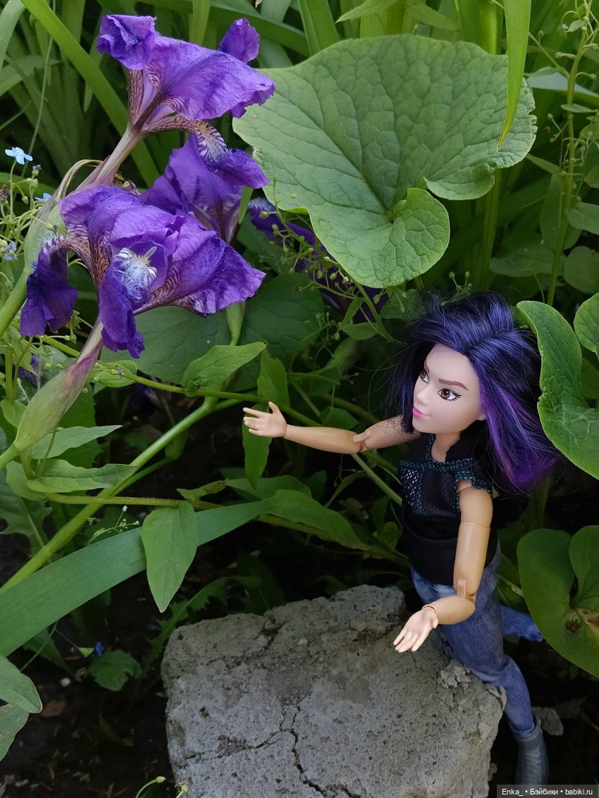 Дейзи Джонсон: по тропе ирисов (фото 7)