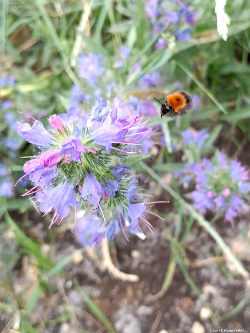 Зажгем с магнитофончиком — Куклы Rainbow High (Рейнбоу Хай