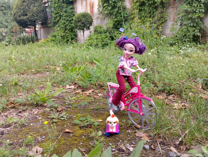 "Я буду долго гнать велосипед" (фото 6)