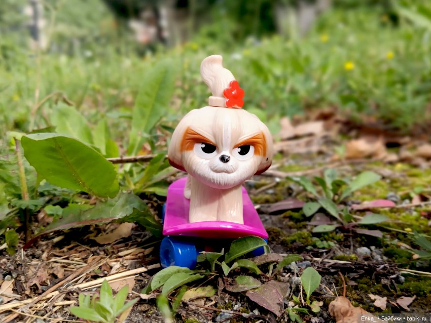 "Я буду долго гнать велосипед" (фото 5)