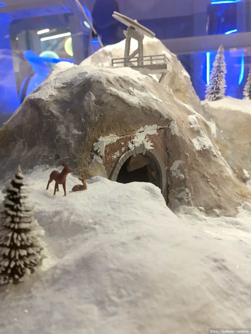 Крушение миниатюрного поезда (фото 9)