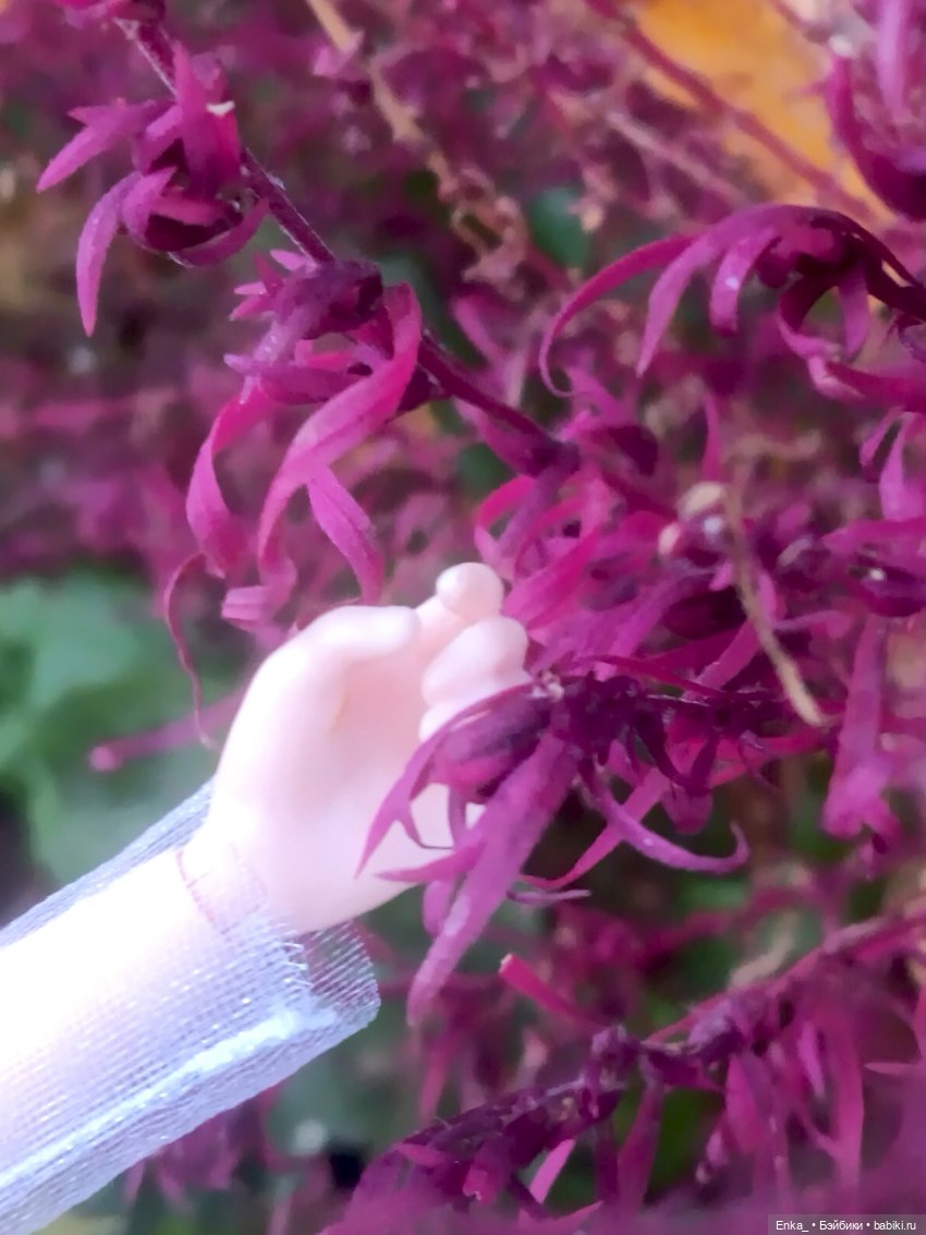 Немного таинственная Аннабель (фото 6)