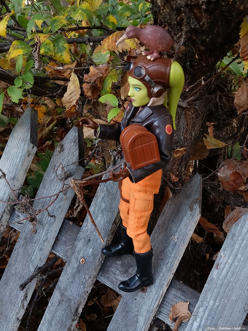 Приключения Геры Синдуллы