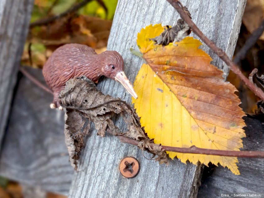 Приключения Геры Синдуллы (фото 6)