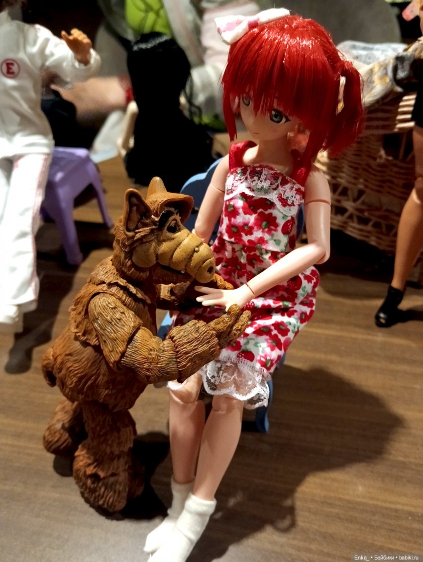 Ох уж этот Альф! «Давайте сперва перекусим, а дружелюбие проявите потом» (фото 8)