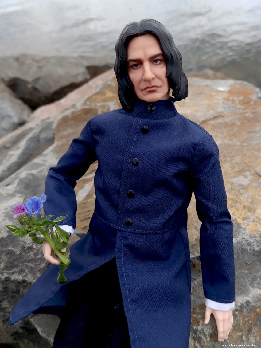 На прогулке с Северусом Снеггом