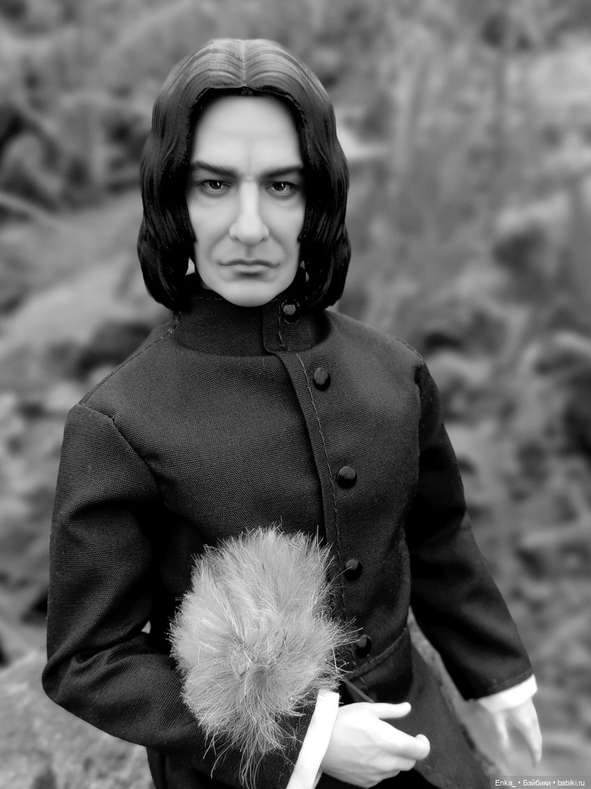 На прогулке с Северусом Снеггом