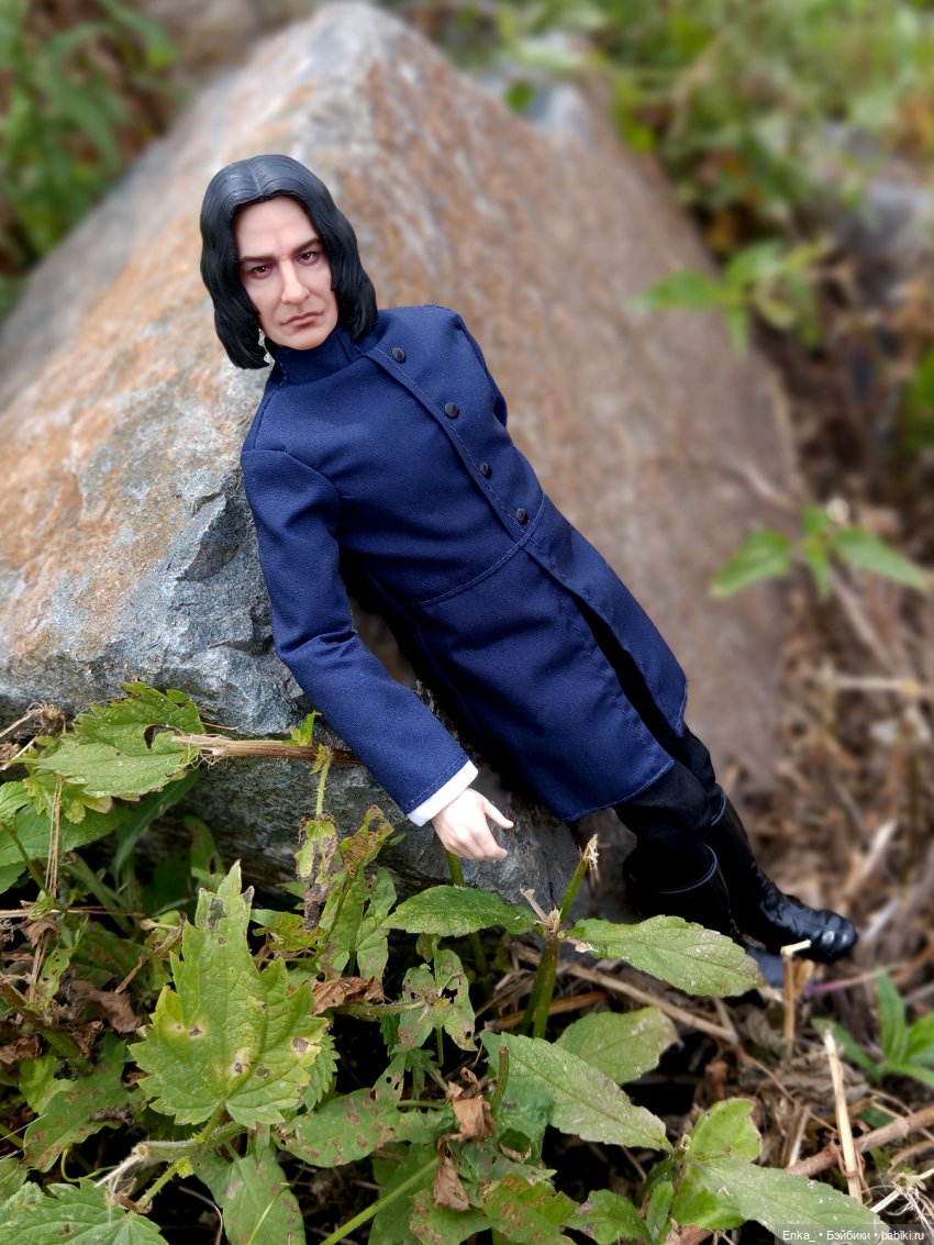 На прогулке с Северусом Снеггом