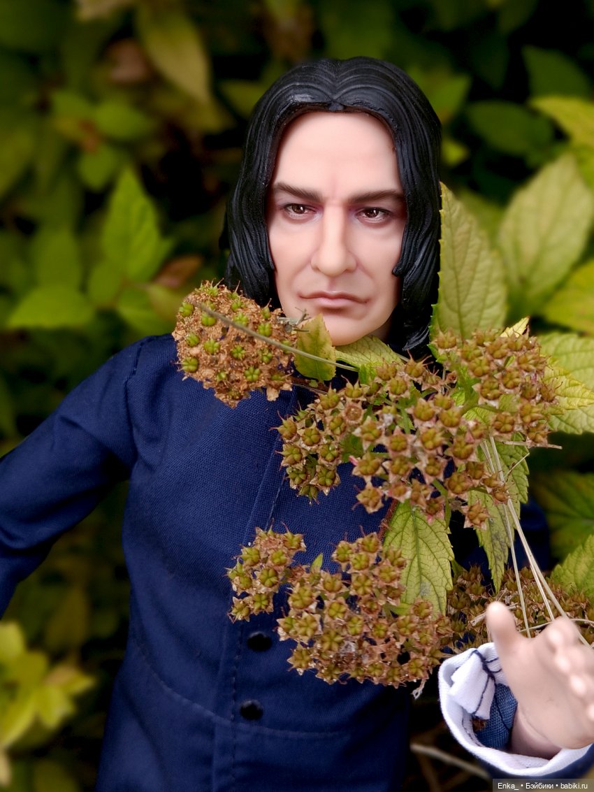 На прогулке с Северусом Снеггом (фото 5)