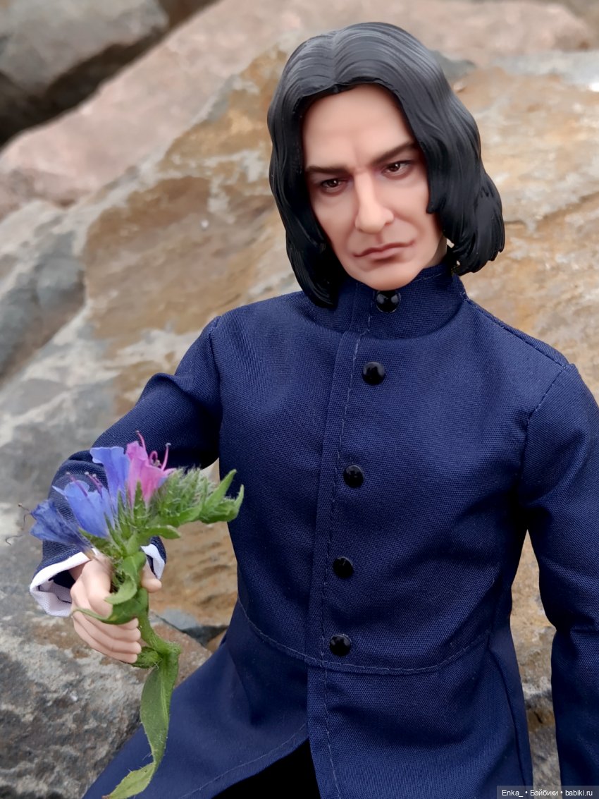 На прогулке с Северусом Снеггом