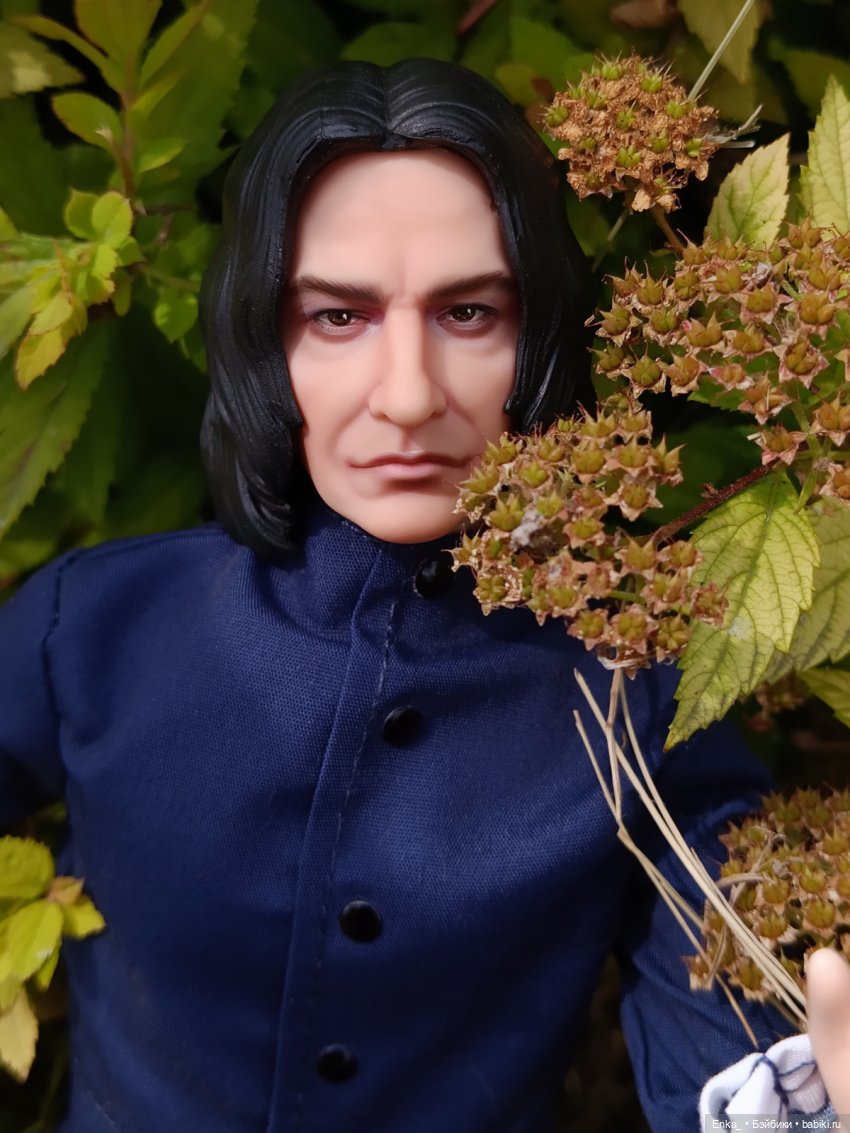 На прогулке с Северусом Снеггом