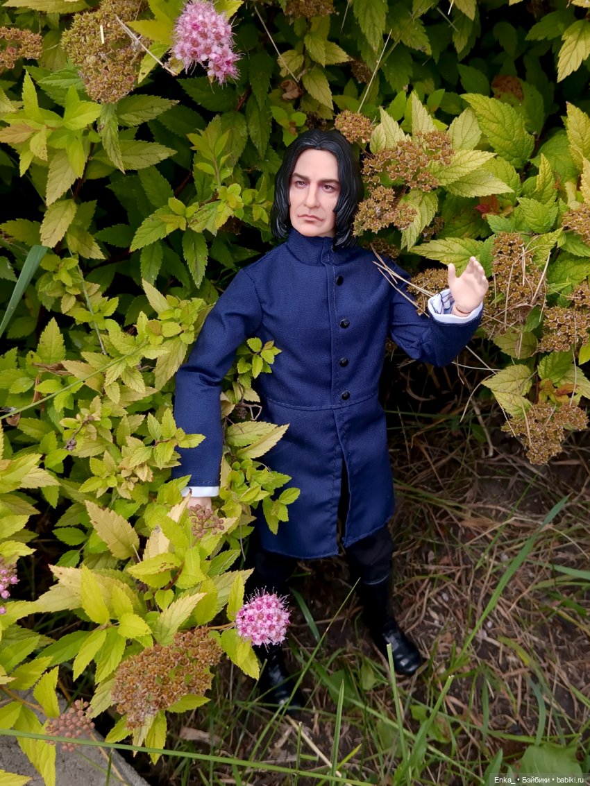 На прогулке с Северусом Снеггом (фото 2)