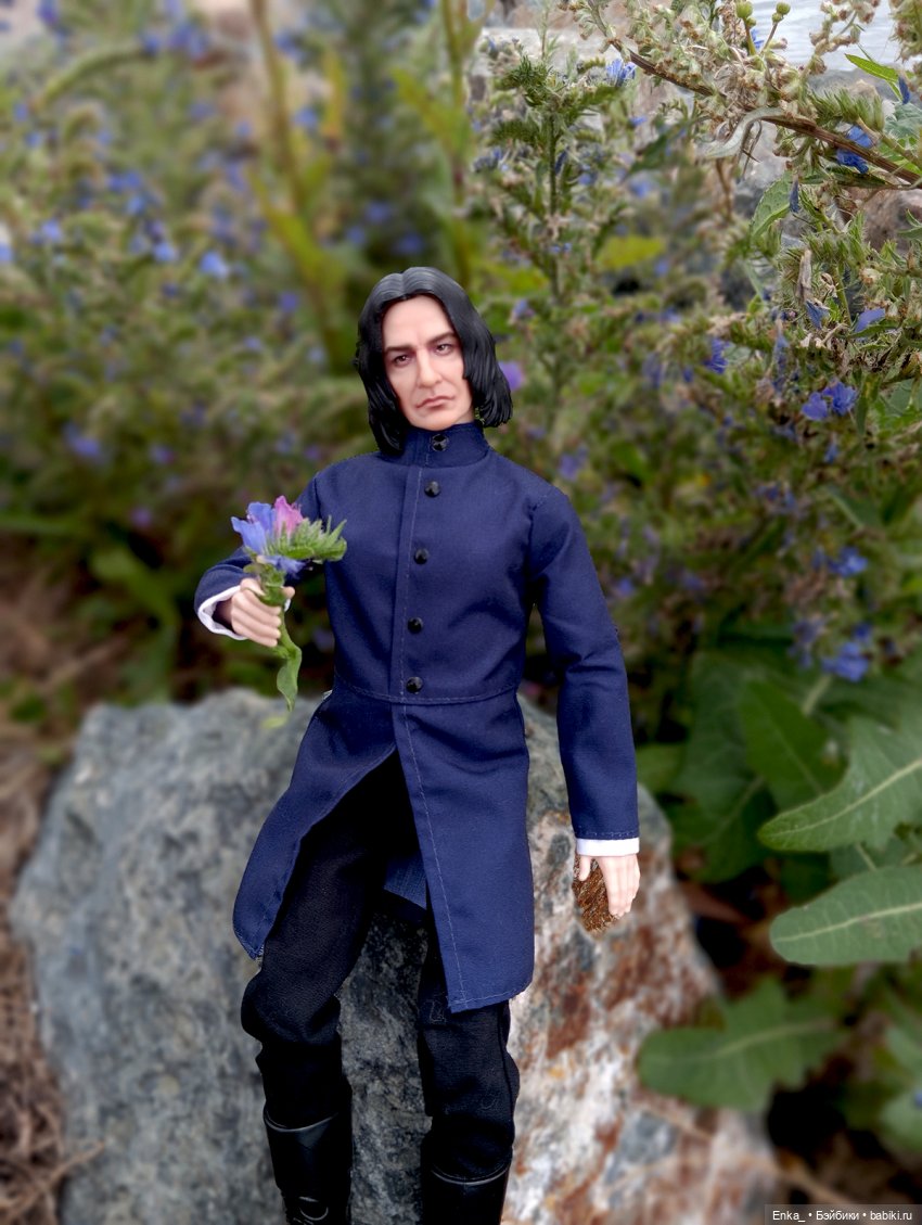 На прогулке с Северусом Снеггом