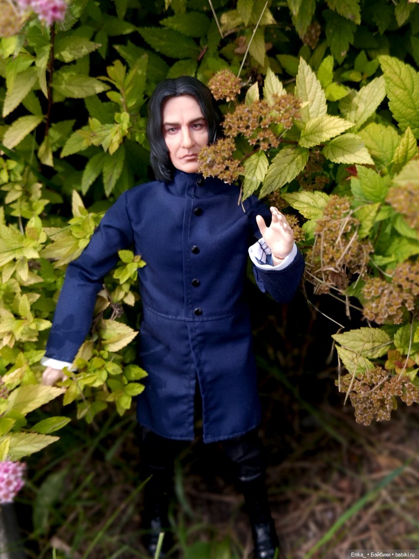 На прогулке с Северусом Снеггом (фото 4)