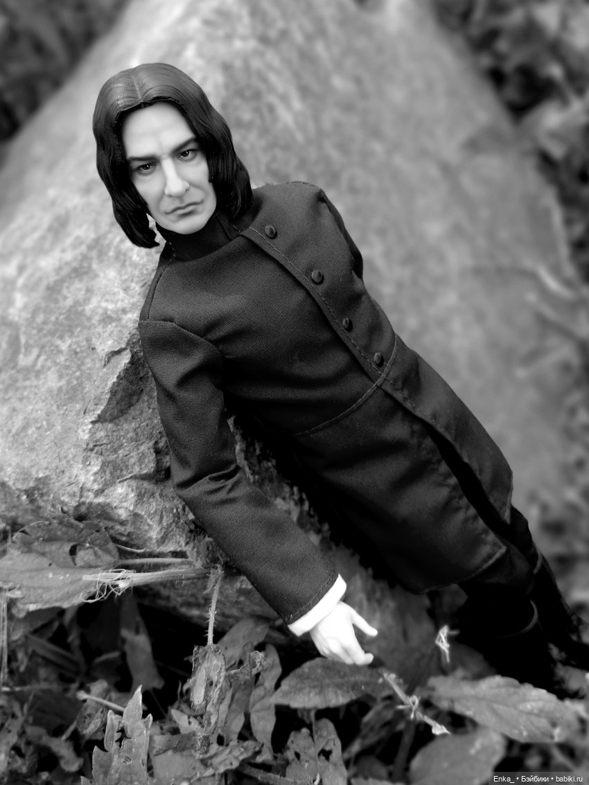 На прогулке с Северусом Снеггом