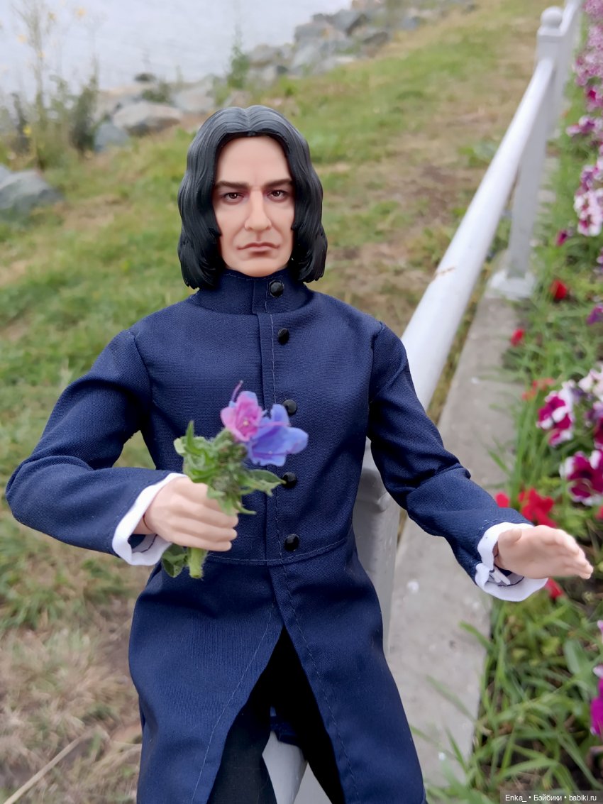 На прогулке с Северусом Снеггом