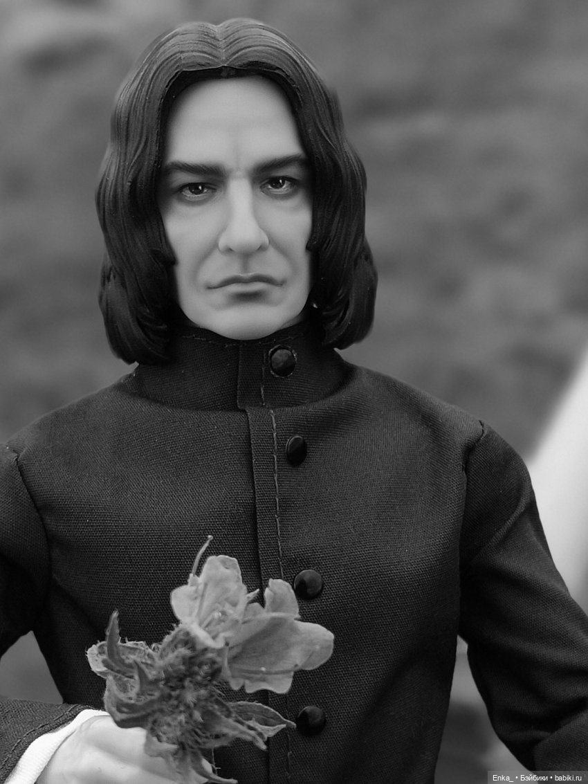 На прогулке с Северусом Снеггом