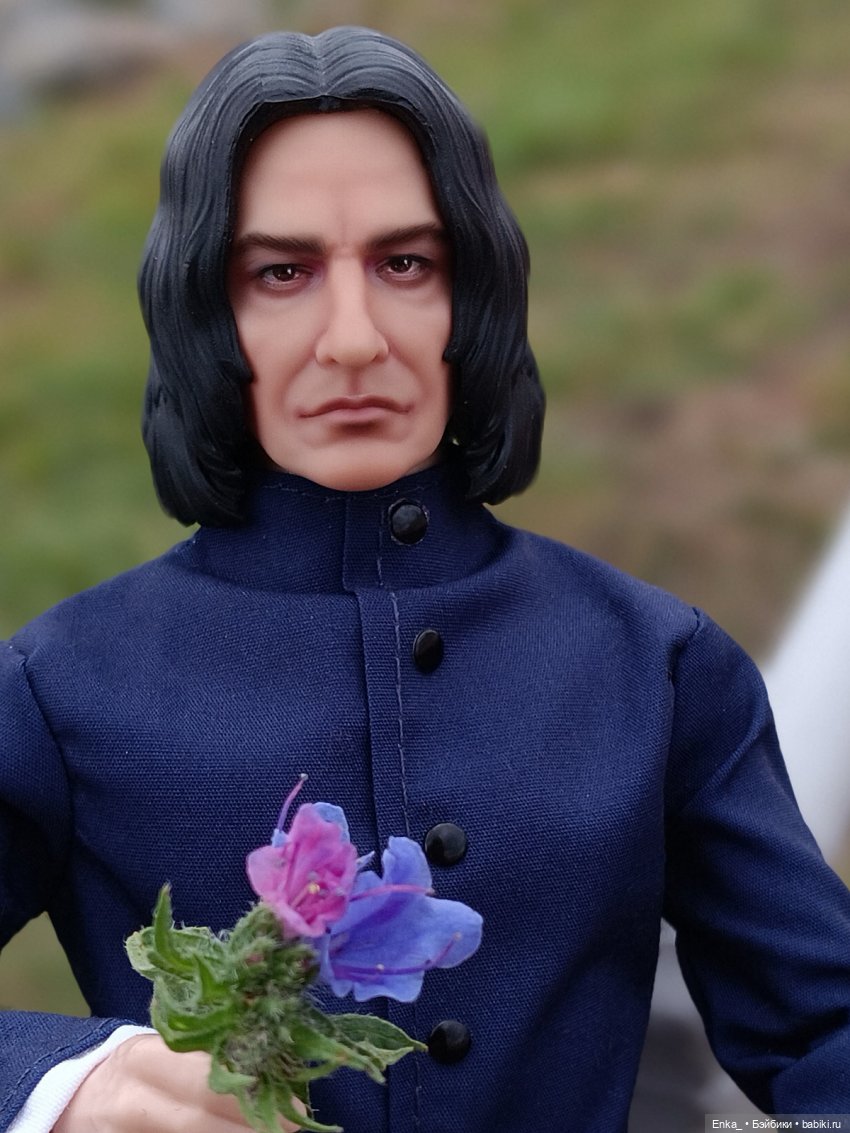 На прогулке с Северусом Снеггом