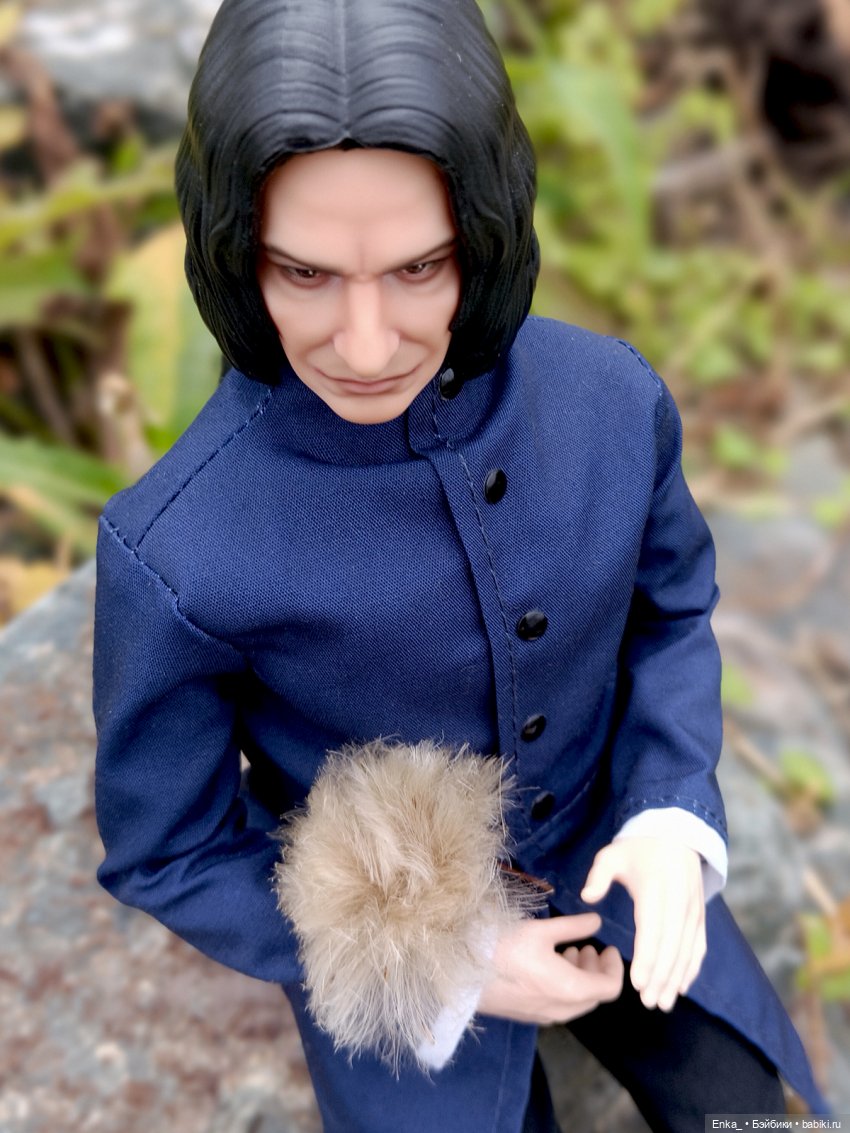 На прогулке с Северусом Снеггом