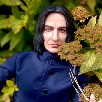 На прогулке с Северусом Снеггом