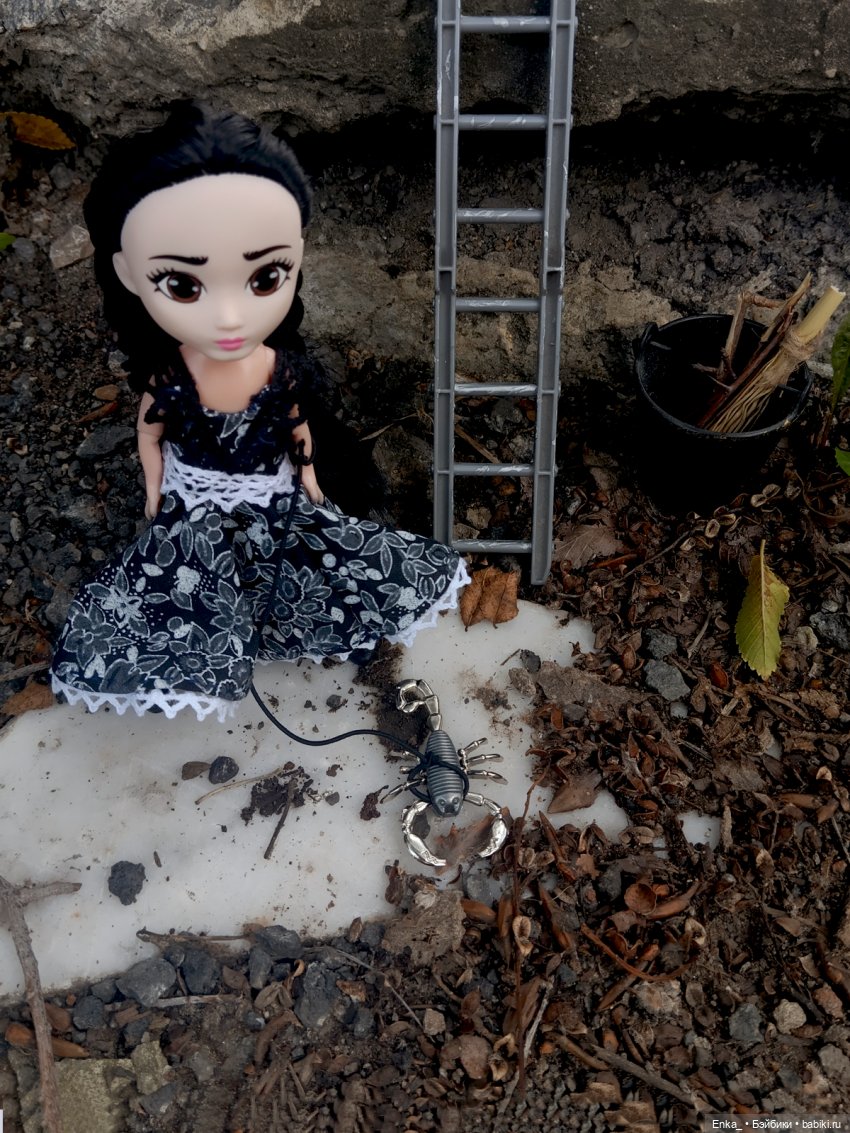 Малышка Уэнсди на прогулке с питомцем