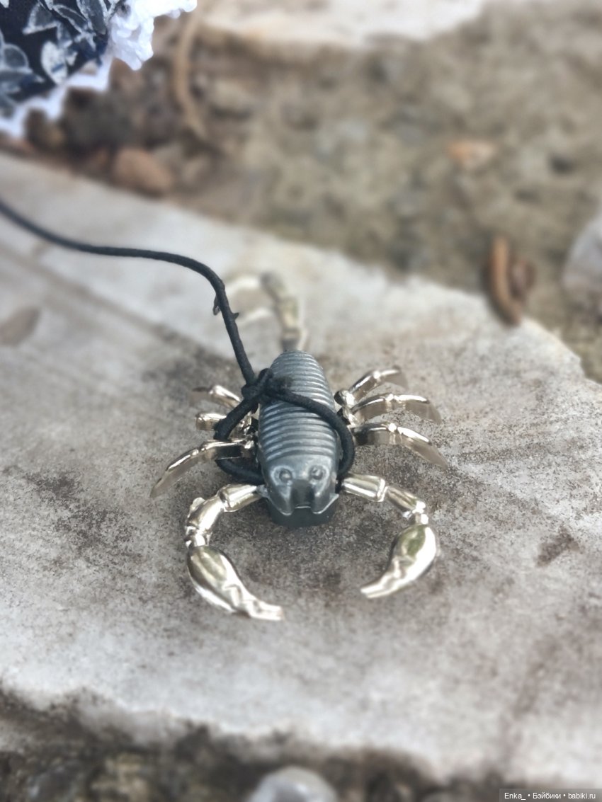 Малышка Уэнсди на прогулке с питомцем (фото 2)