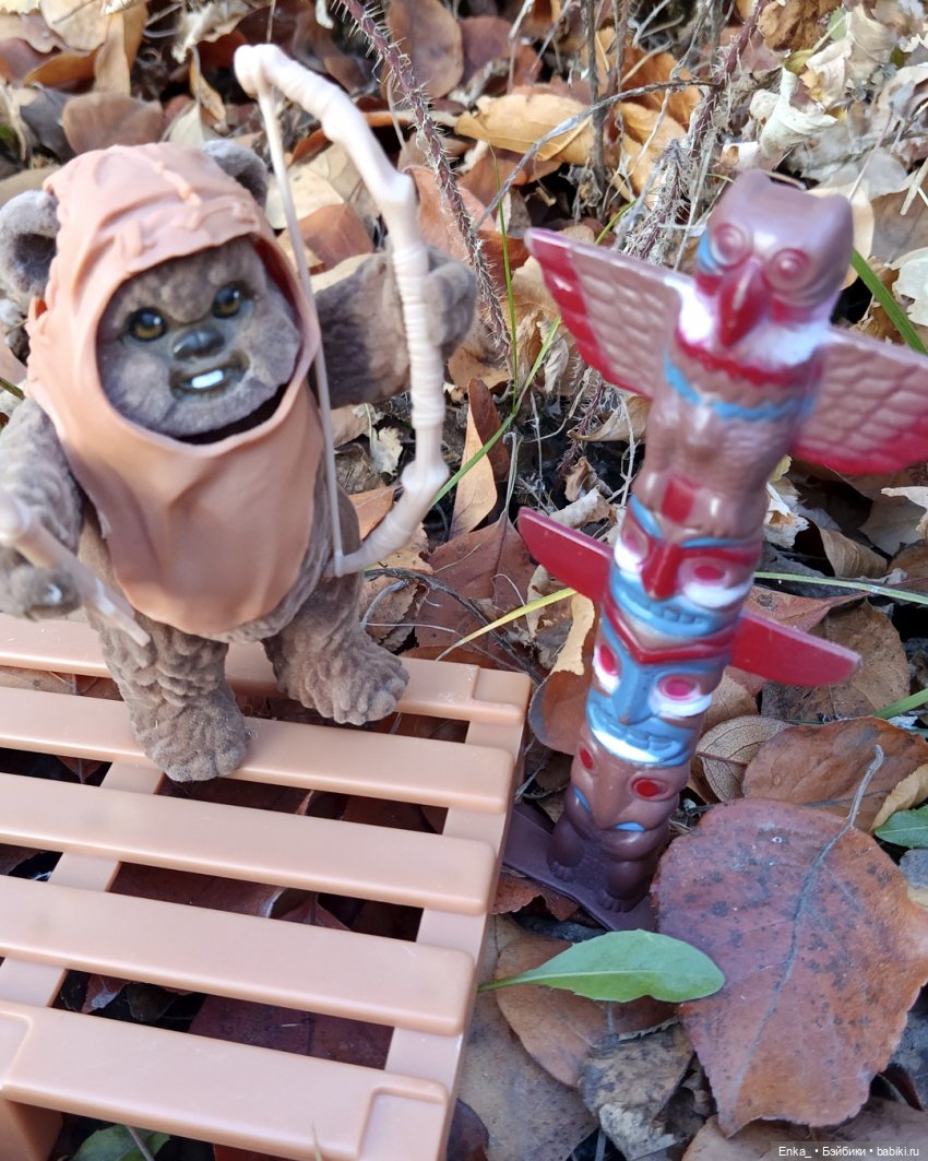 Индианка Робин в месте силы