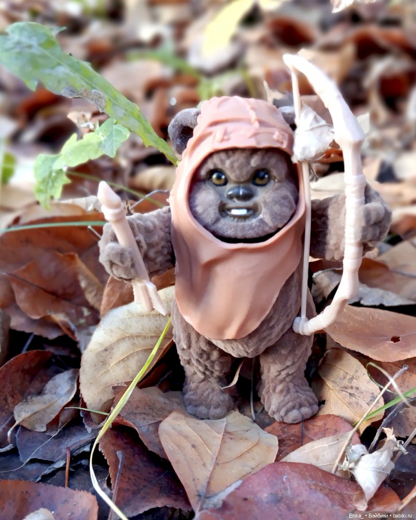 Индианка Робин в месте силы (фото 9)