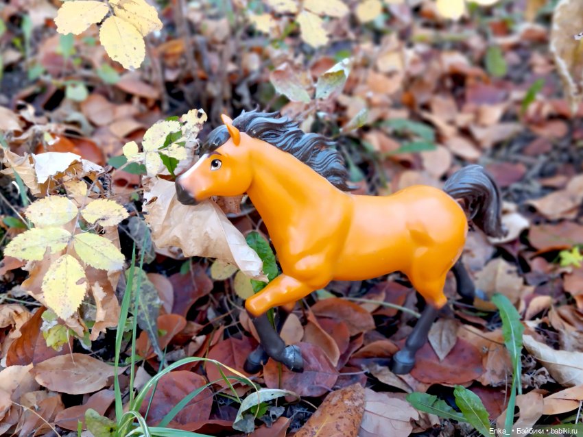 Индианка Робин в месте силы (фото 10)