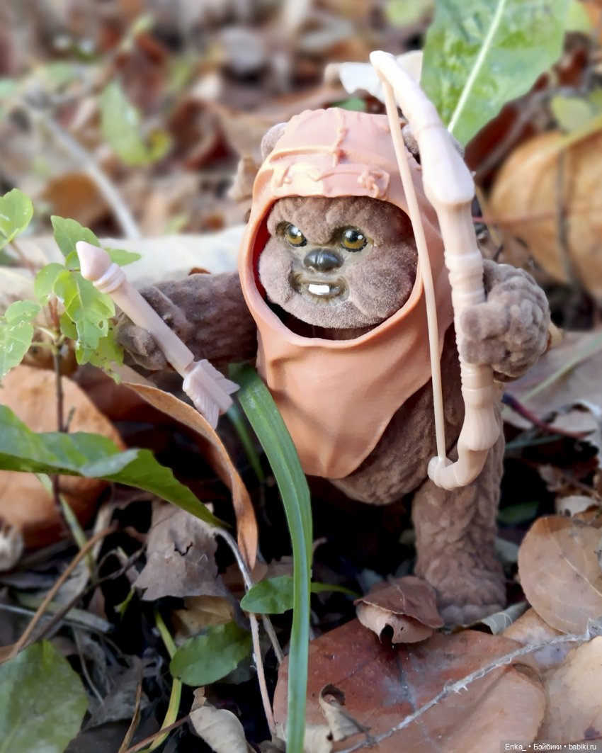 Индианка Робин в месте силы (фото 8)