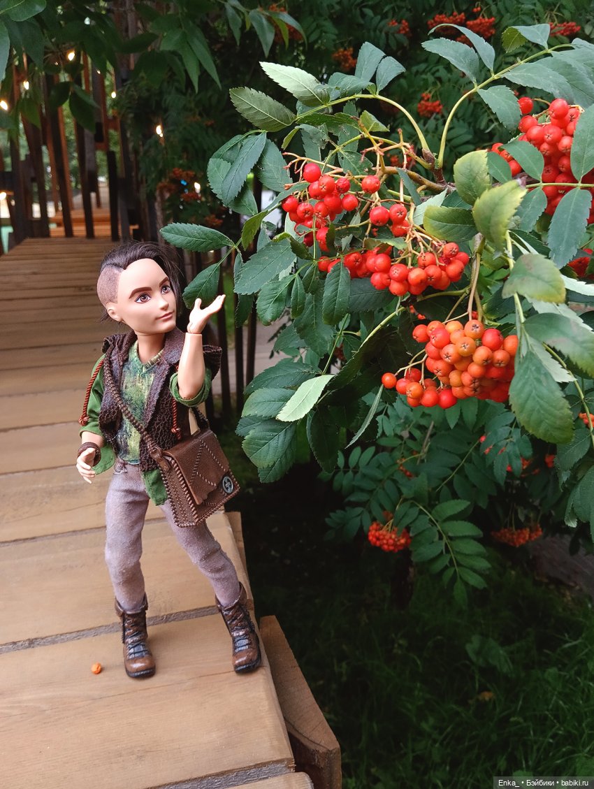 Хантер и гроздья сочной рябины (фото 3)