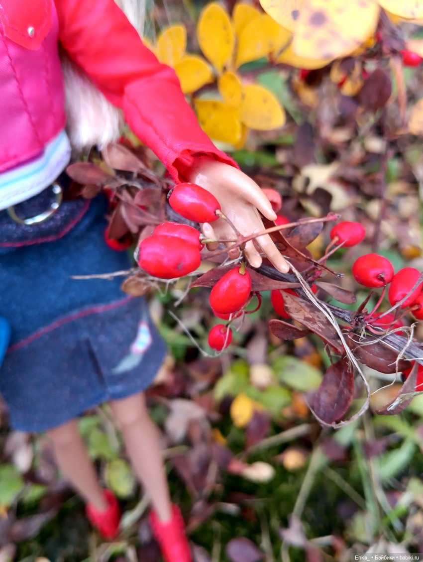 Уличный стиль Дэйл — Куклы Integrity Toys (Интегрити): Poppy Parker