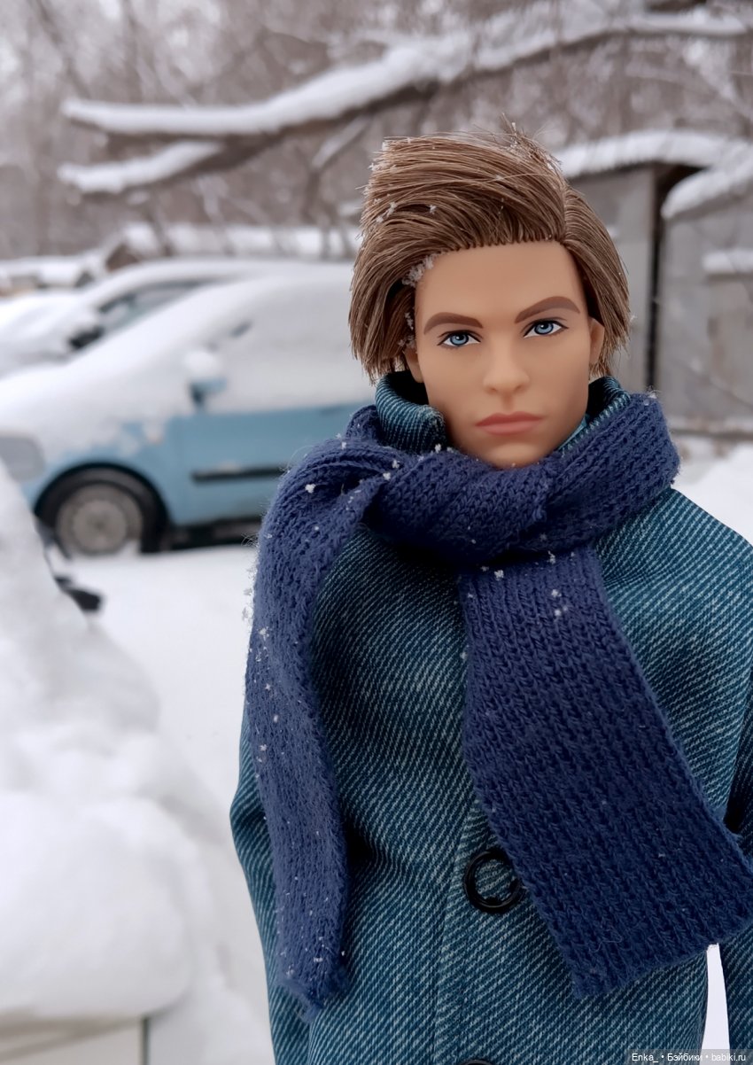 Зимняя прогулка: Стив и голуби (фото 2)