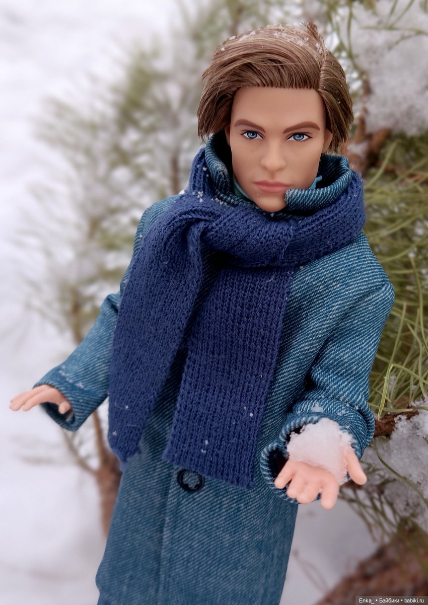 Зимняя прогулка: Стив и голуби (фото 6)