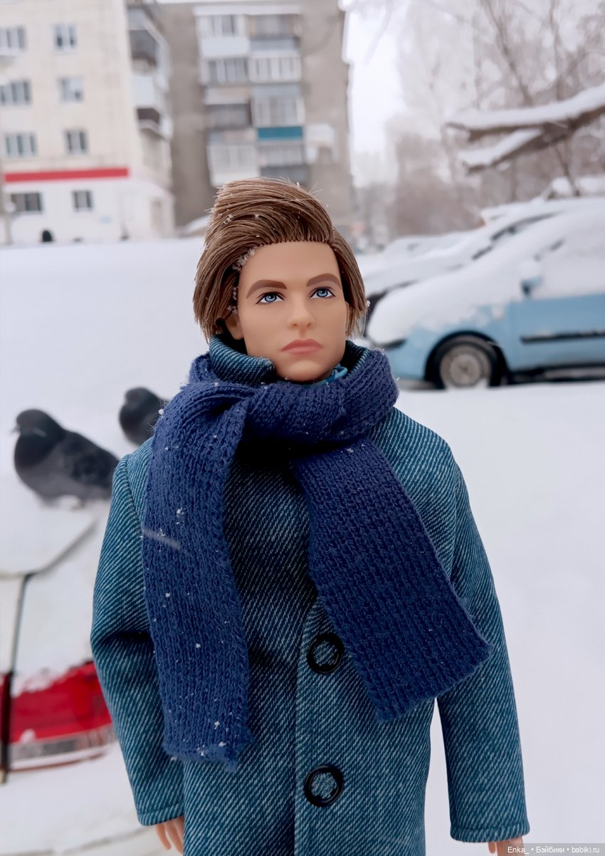 Зимняя прогулка: Стив и голуби