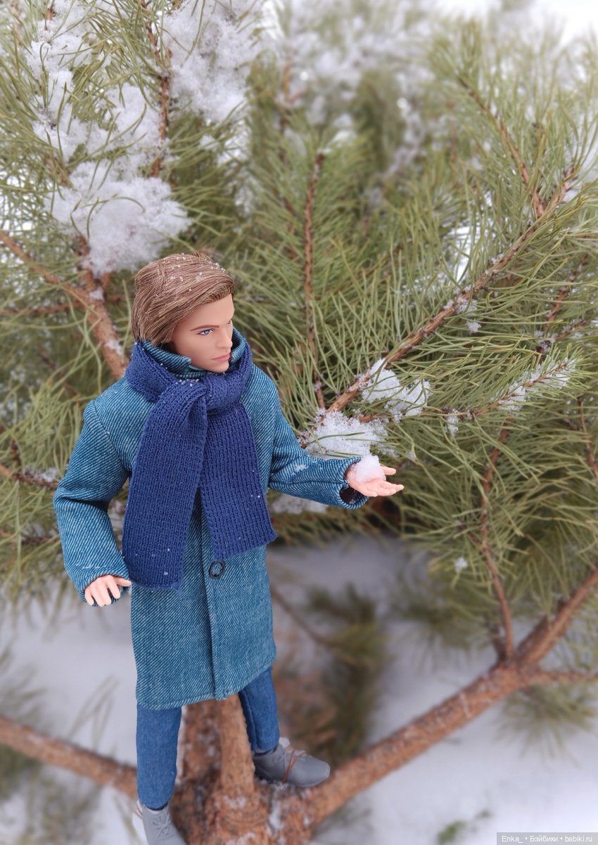 Зимняя прогулка: Стив и голуби (фото 4)