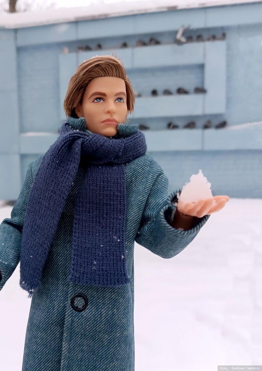 Зимняя прогулка: Стив и голуби (фото 8)