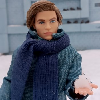 Зимняя прогулка: Стив и голуби