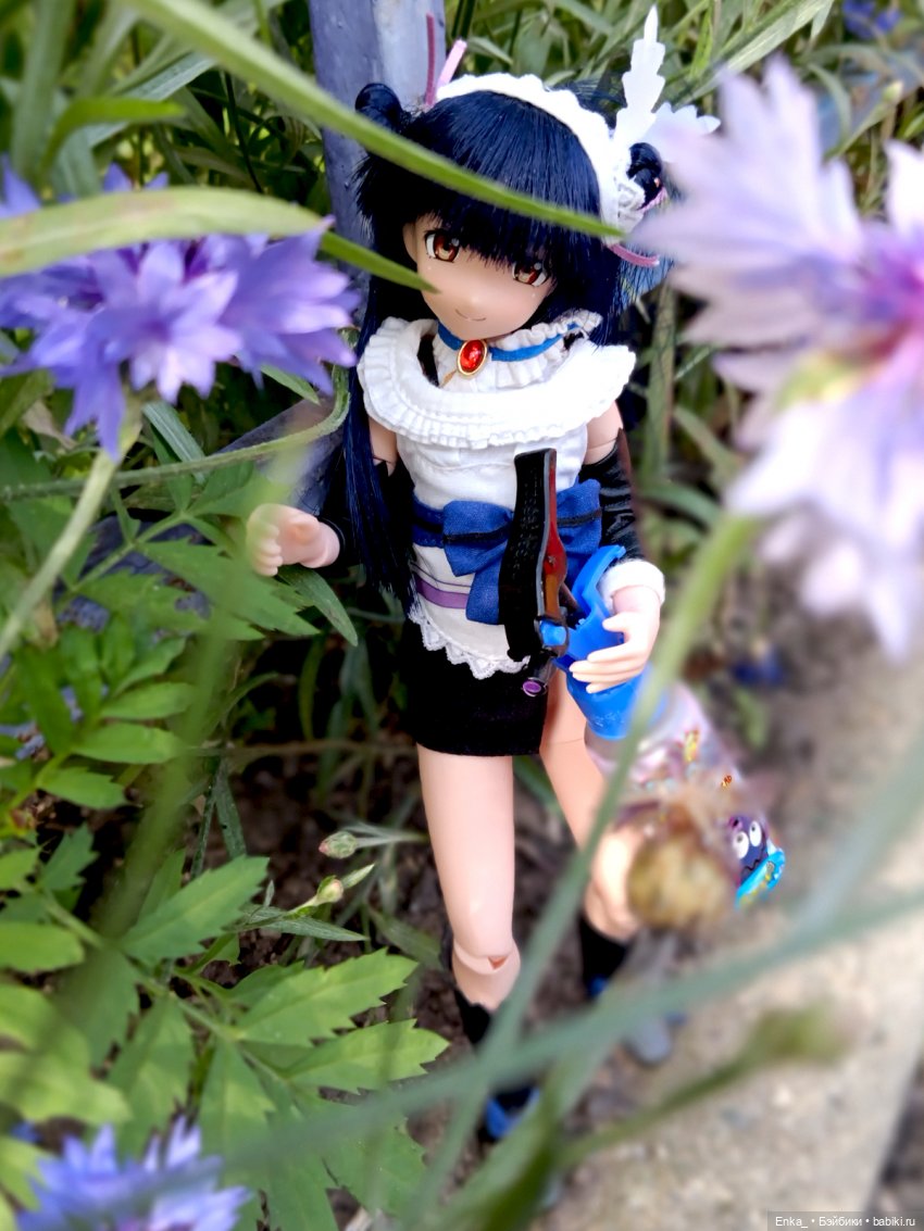 Сонода: будни в саду — Куклы Azone (Азон) и тела Pure Neemo: фото (фото 5)