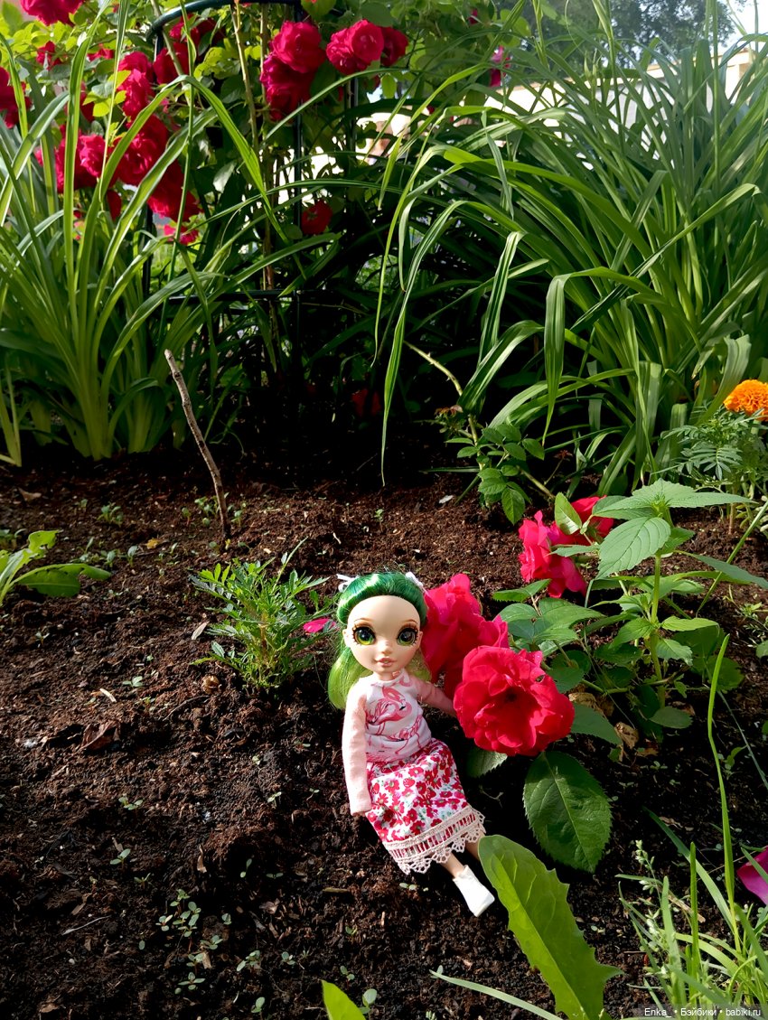 Джейд в гостях у аистов — Куклы Rainbow High (Рейнбоу Хай